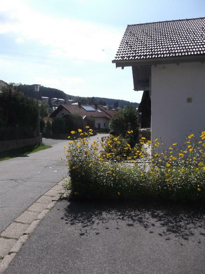 Fewo 2 Am Fischerweg Bodenmais Zewnętrze zdjęcie